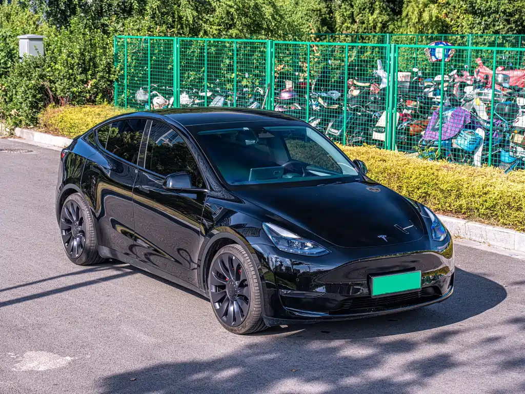 Tesla Model Y — миниатюра 3