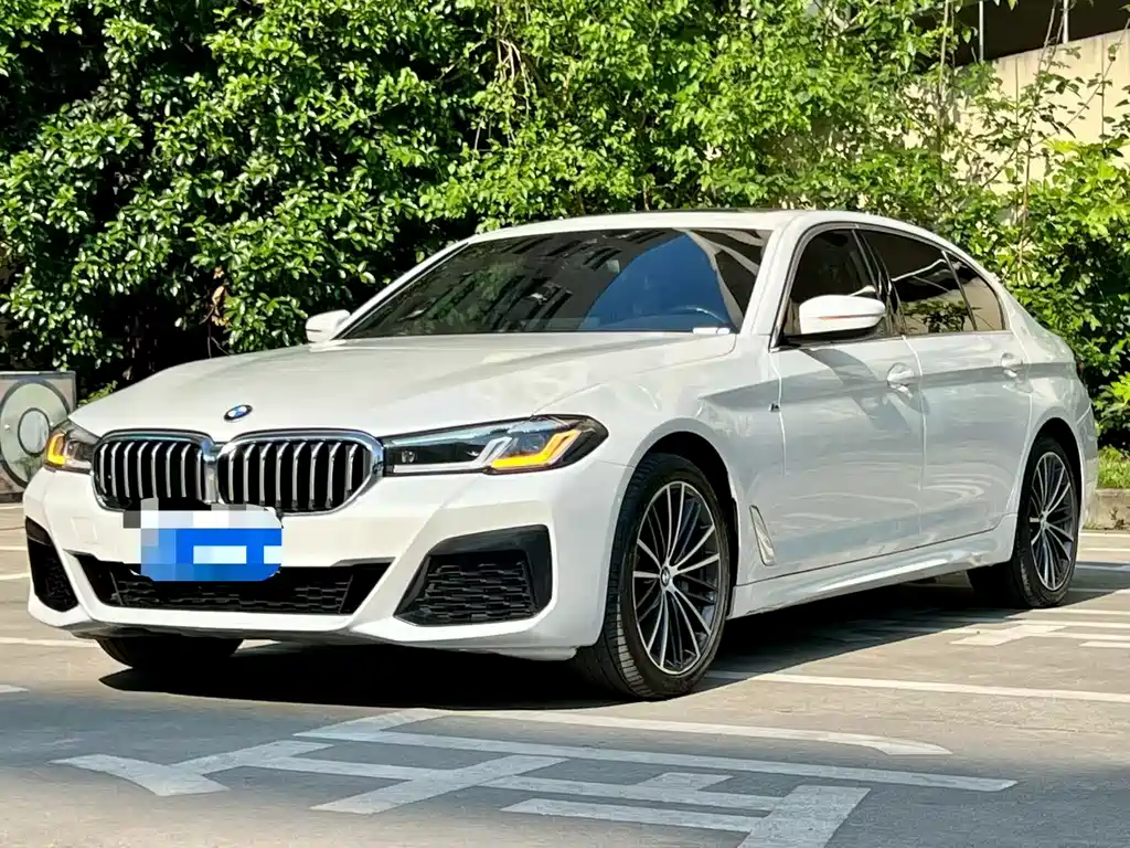 BMW 5 Series 2020