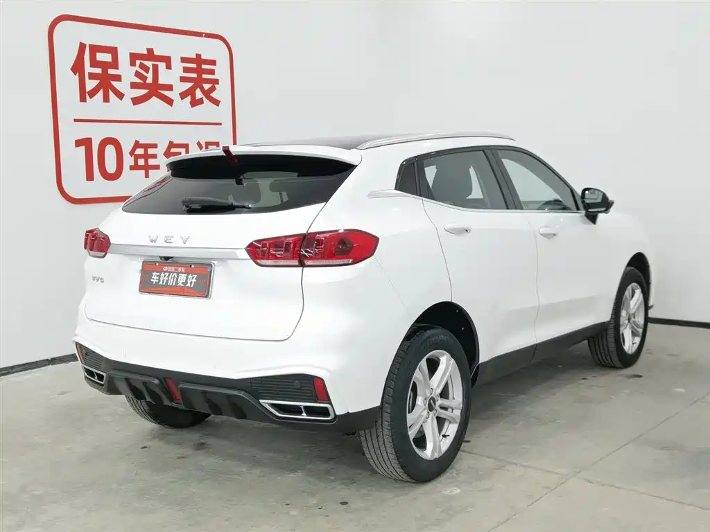 WEI PAI WEI BRAND VV5