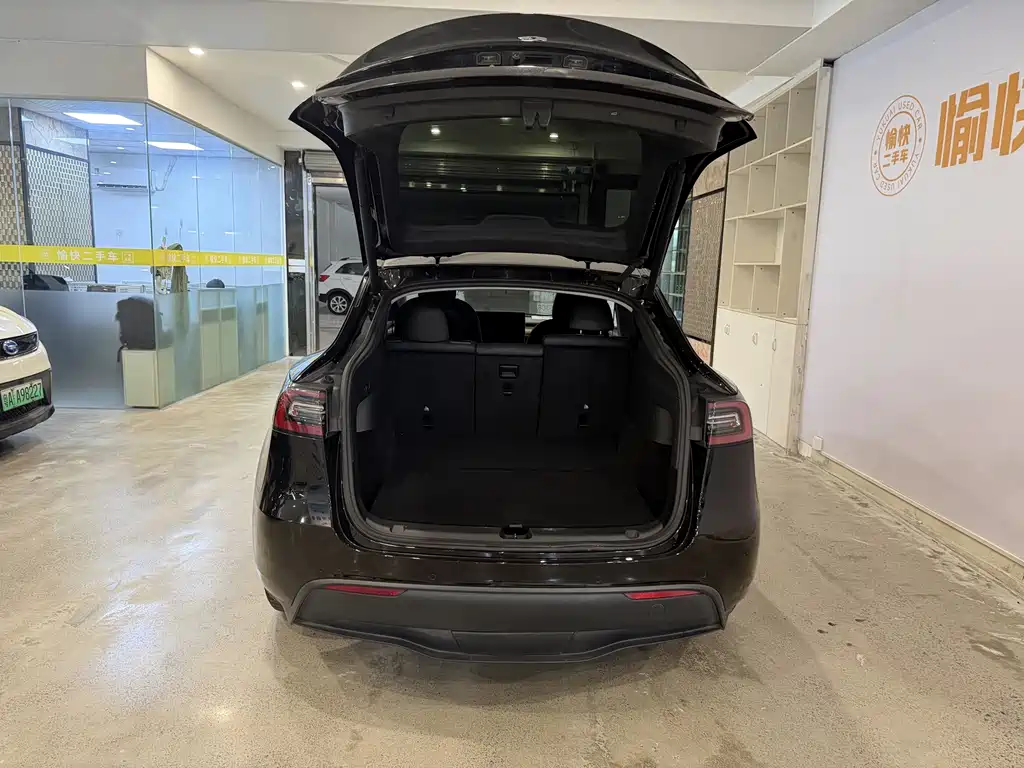 Tesla Model Y — миниатюра 8