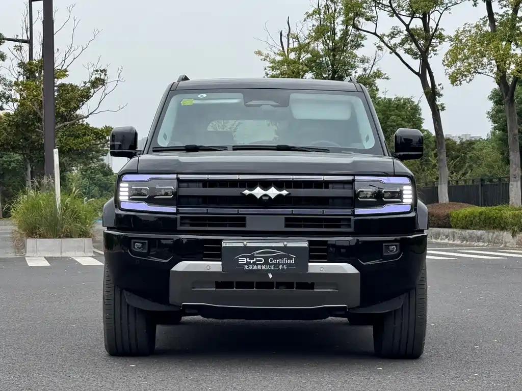 Fang Cheng Bao Leopard 5 — миниатюра 2