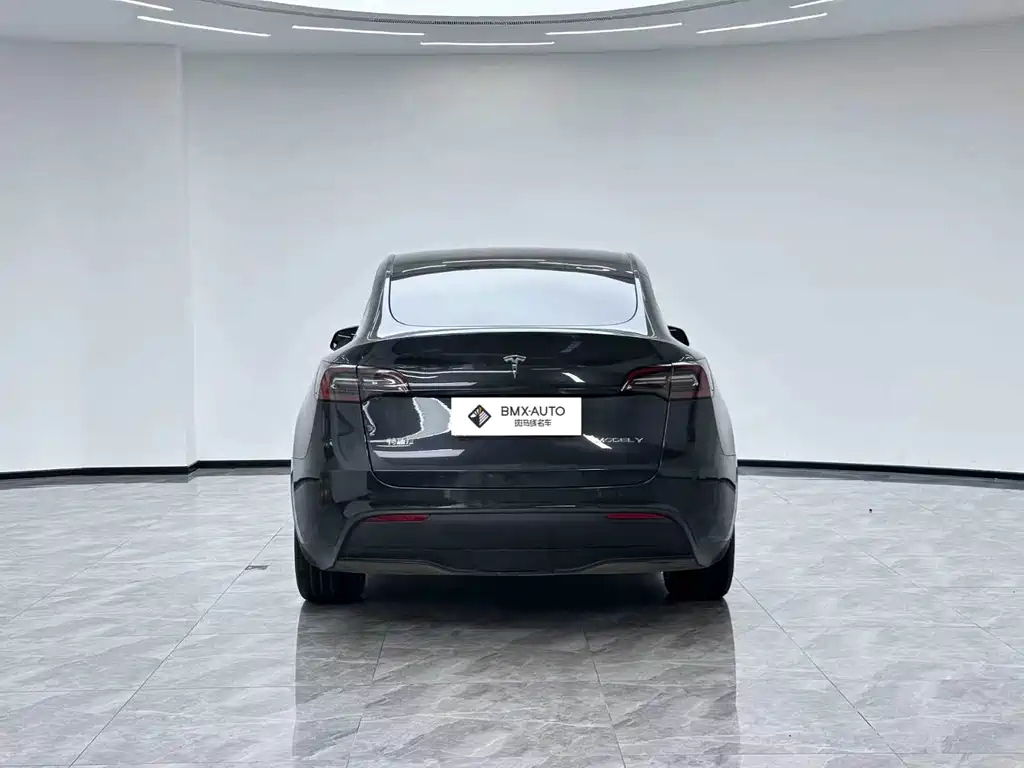 Tesla Model Y — миниатюра 9
