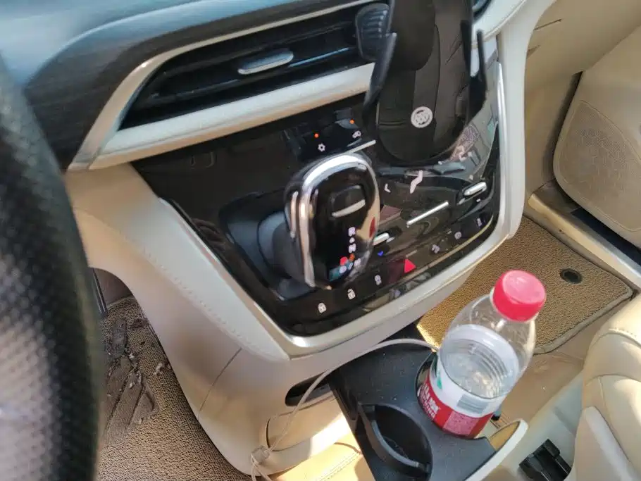 Buick GL8 — миниатюра 16