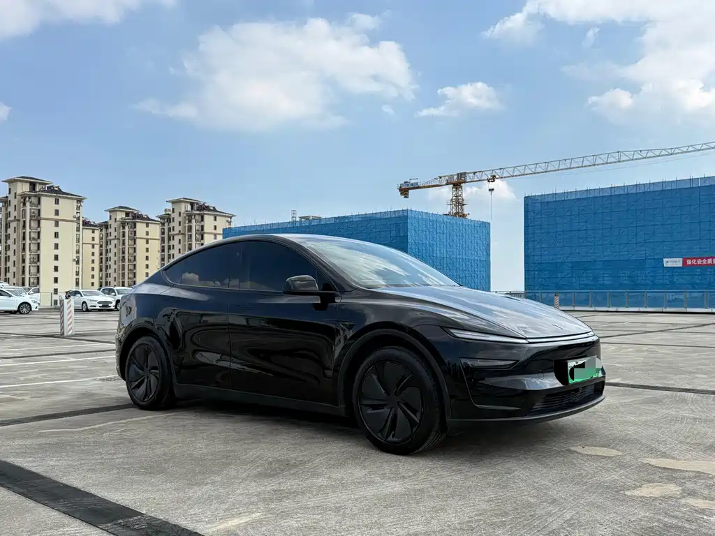 Tesla Model Y — миниатюра 3