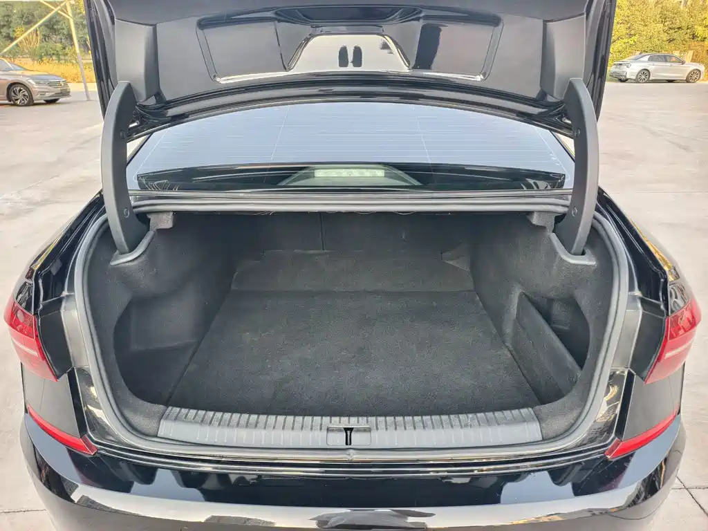 Volkswagen Passat — миниатюра 8