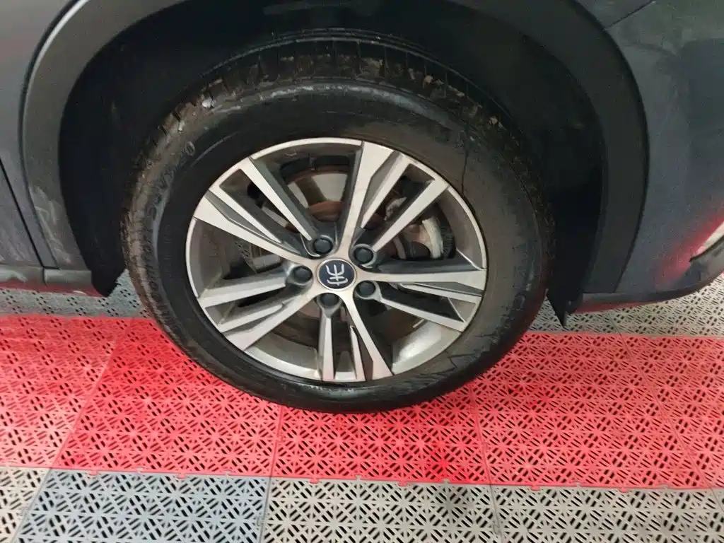 BYD Pro — миниатюра 24