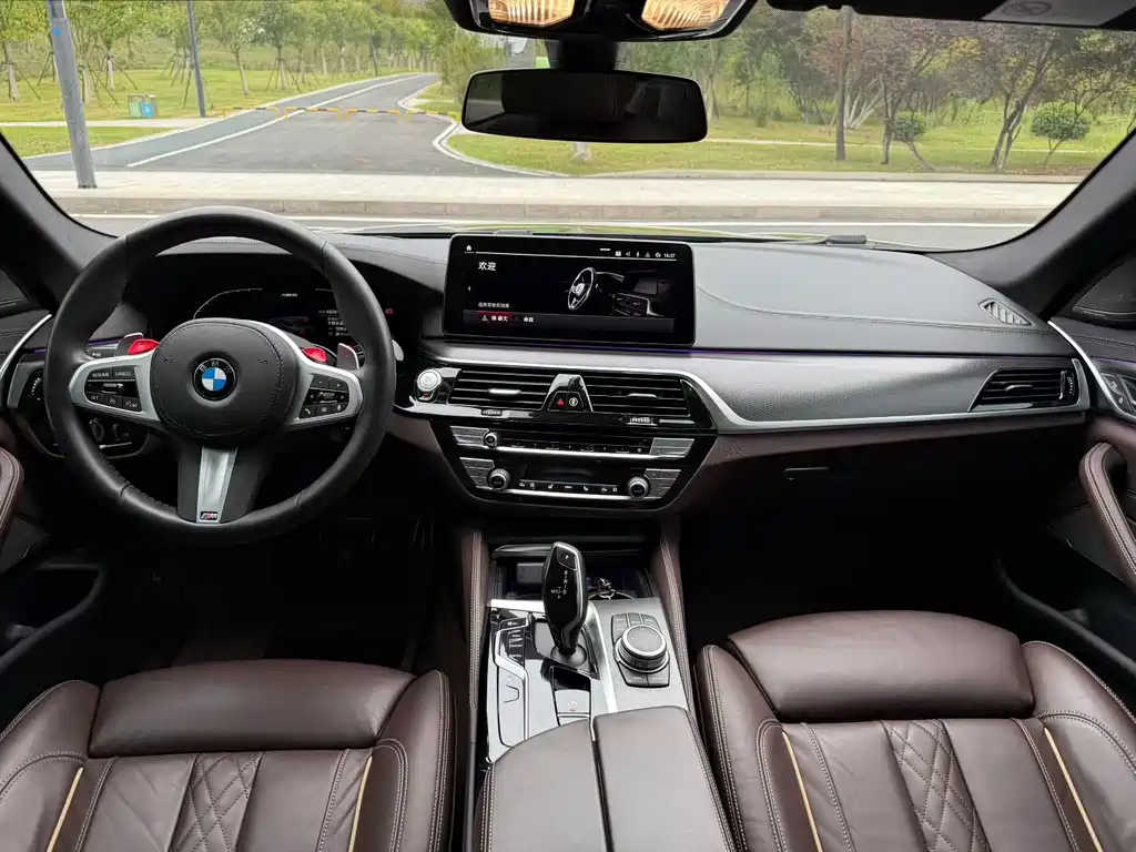 BMW 5 Series (Import) — миниатюра 5