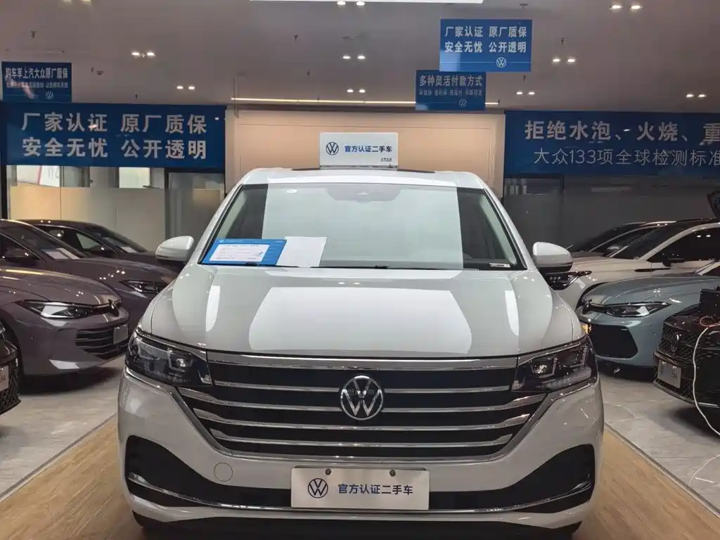 Volkswagen Viloran — миниатюра 3