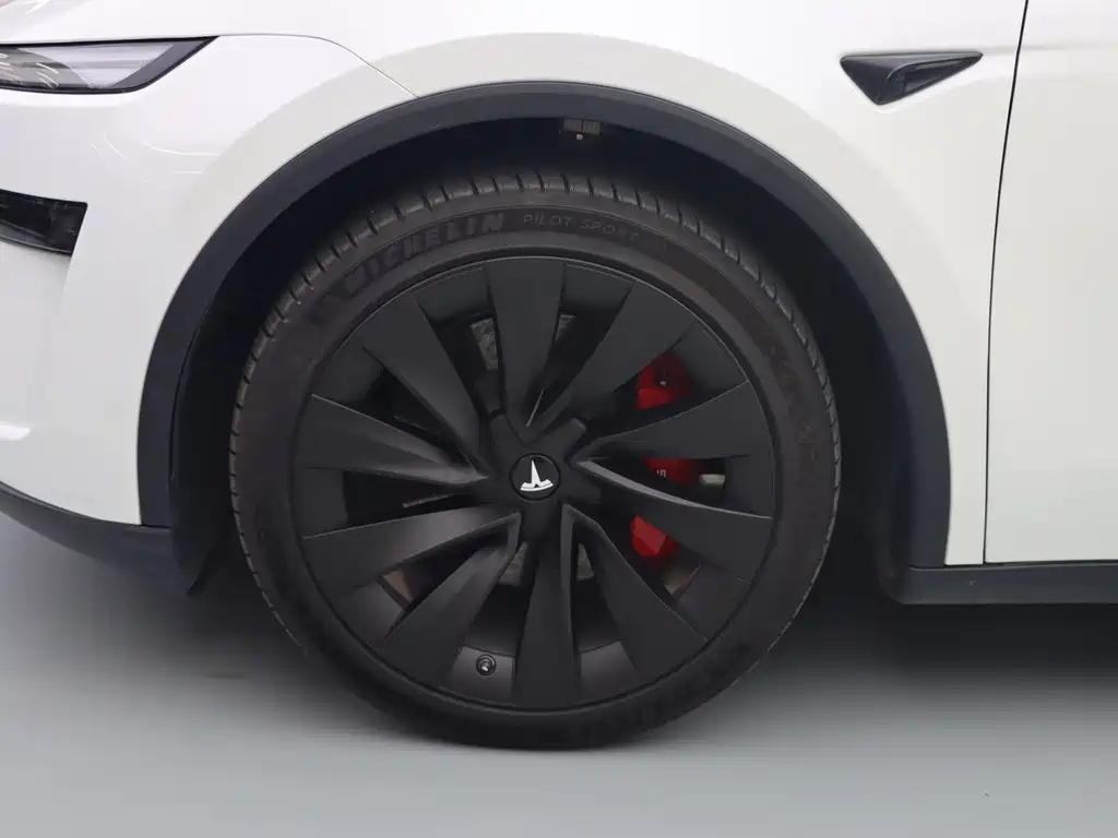 Tesla Model Y — миниатюра 4