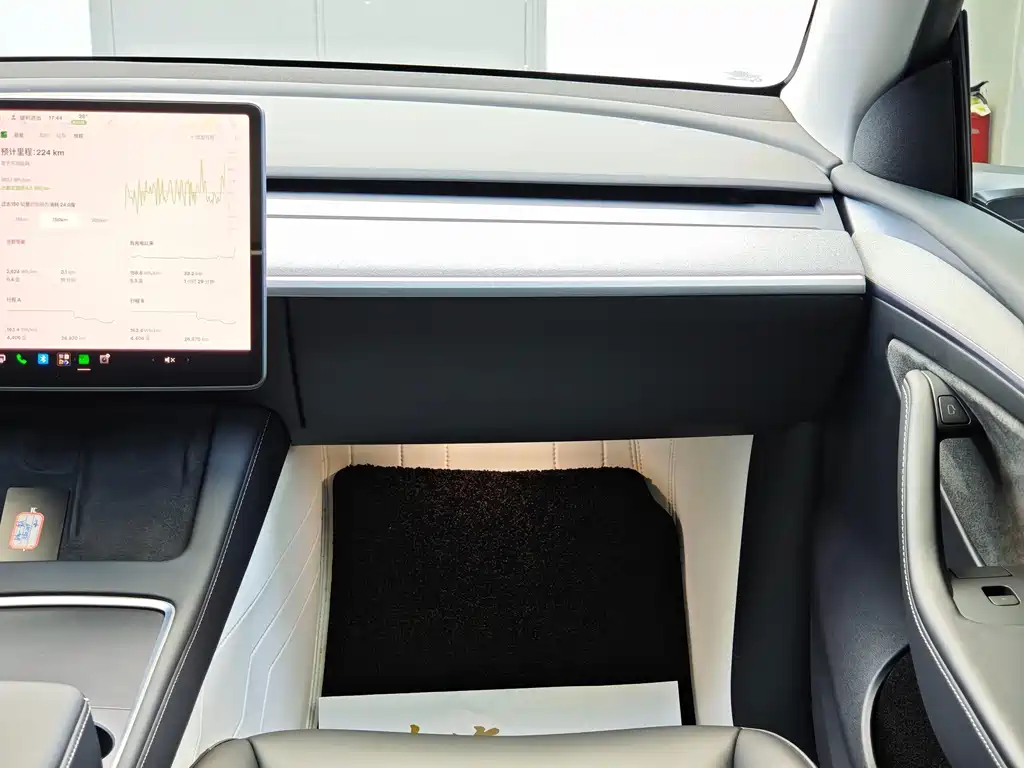 Tesla Model Y — миниатюра 12