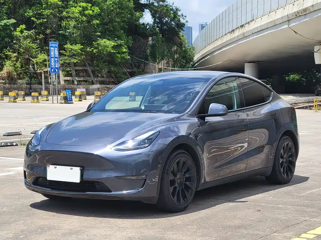 Tesla Model Y 2021