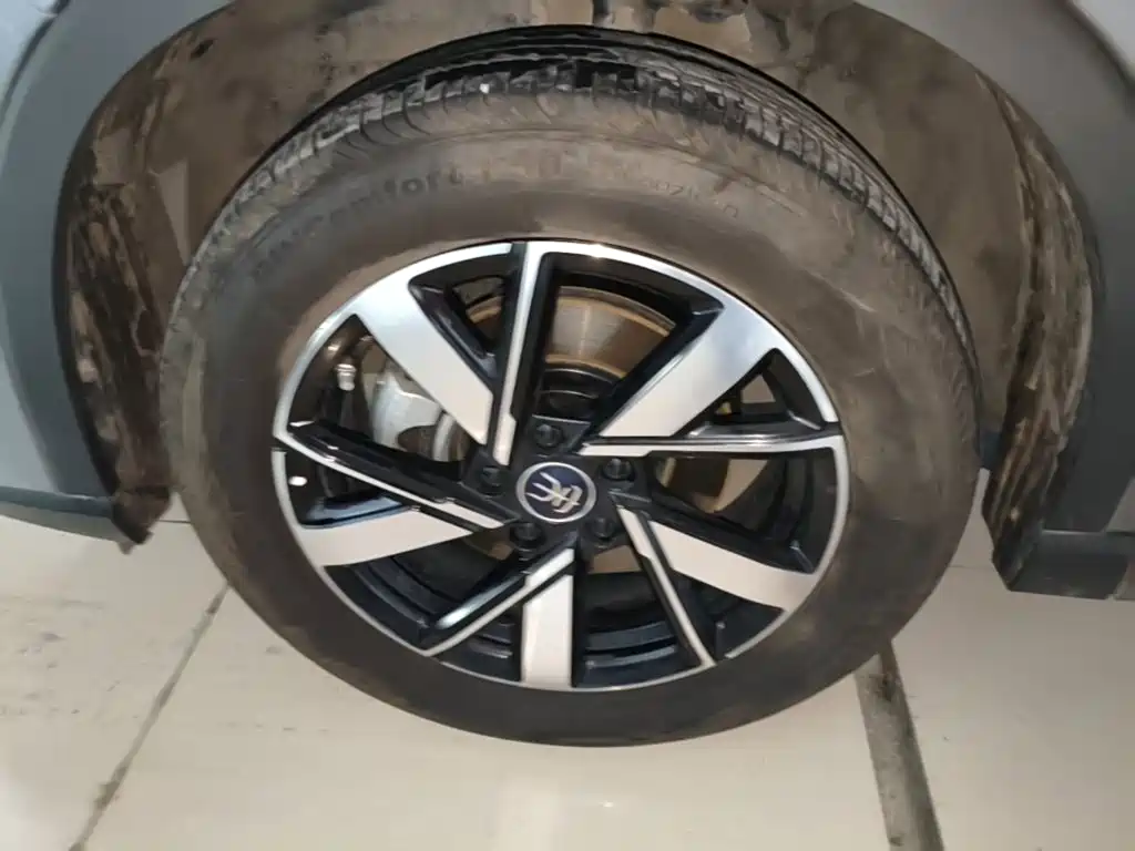 BYD Pro New Energy — миниатюра 23
