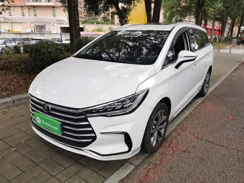 Byd MAX 2021