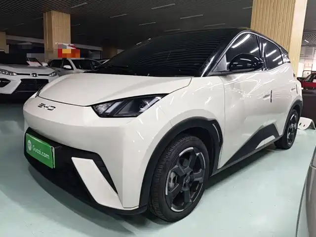 2023 BYD Seagull