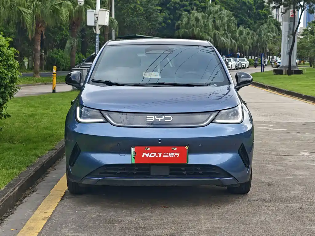 BYD Dolphin — миниатюра 2