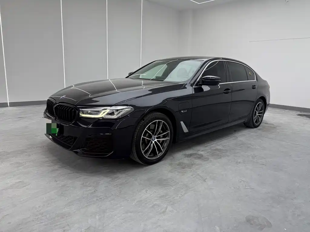 BMW 5 Series New Energy 2022