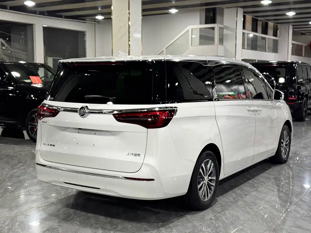 Buick GL8 — миниатюра 14