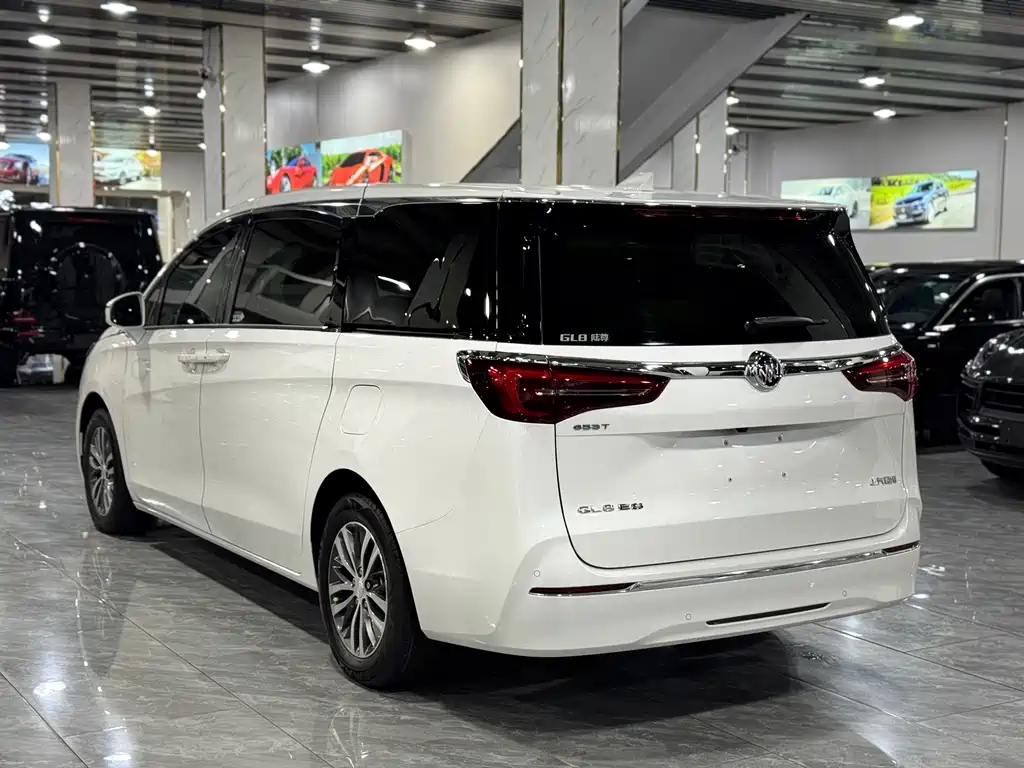 Buick GL8 — миниатюра 16