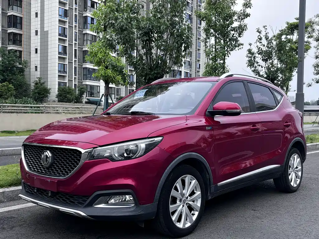Mg ZS 2017