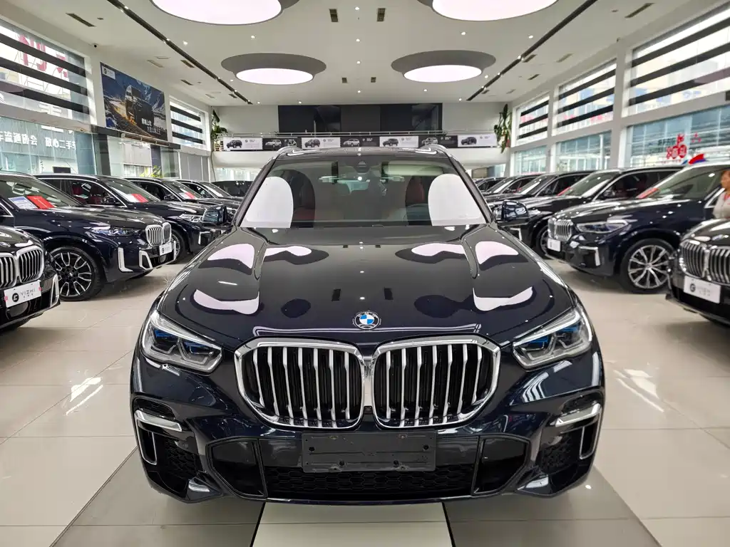 BMW X5 — миниатюра 2