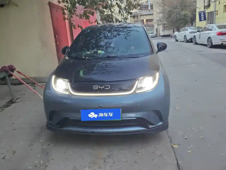 BYD Dolphin — миниатюра 2