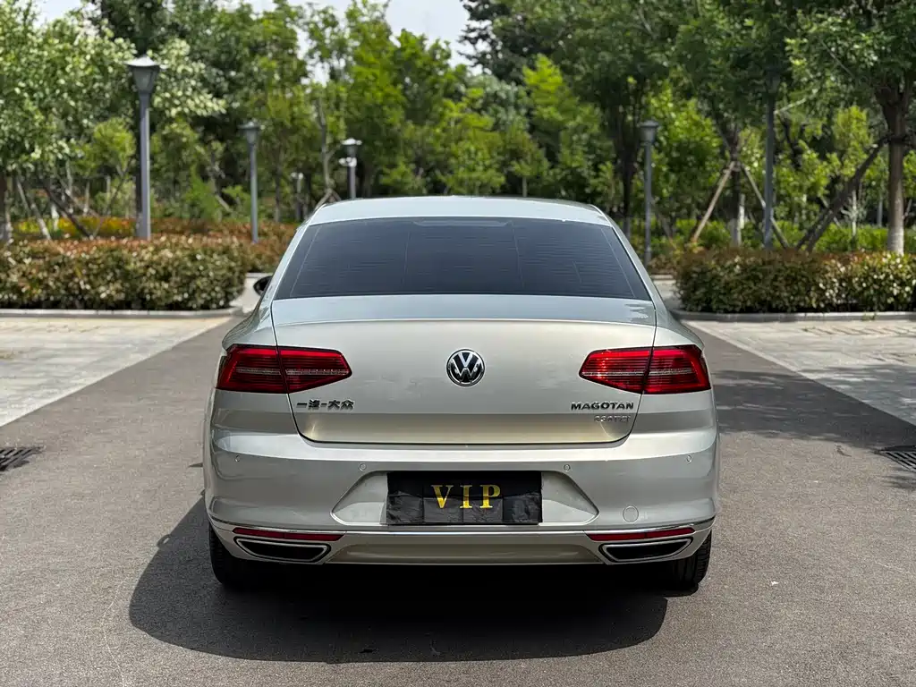 Volkswagen Magotan 2018 330TSI DSG Luxury