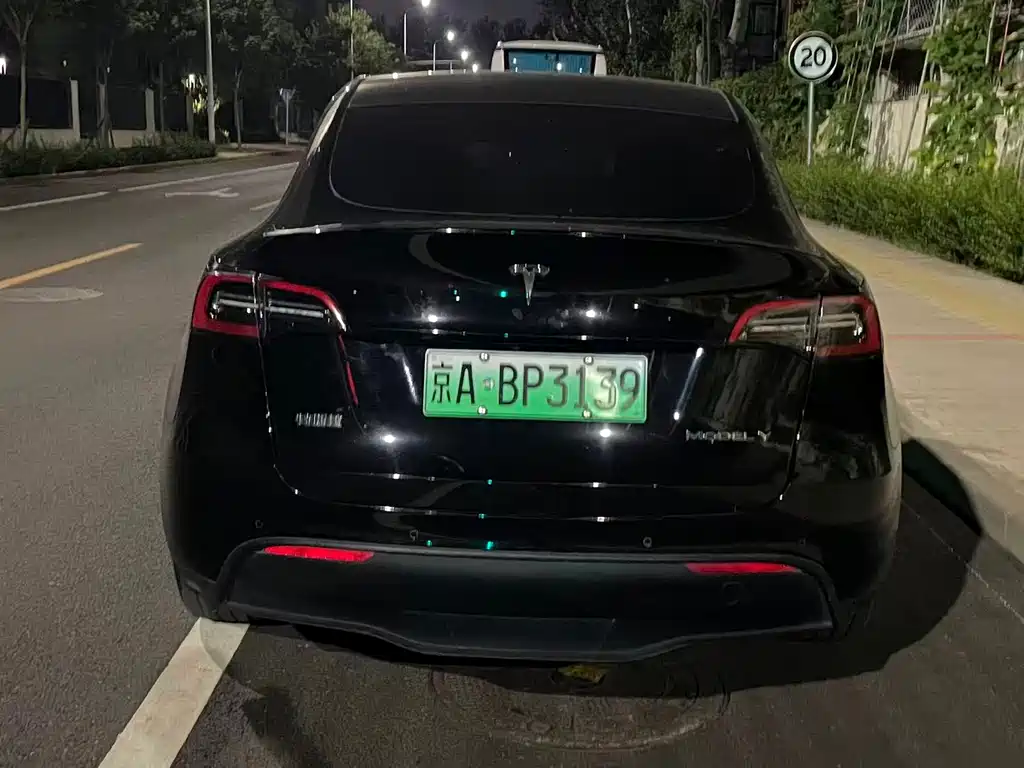 Tesla Model Y — миниатюра 7
