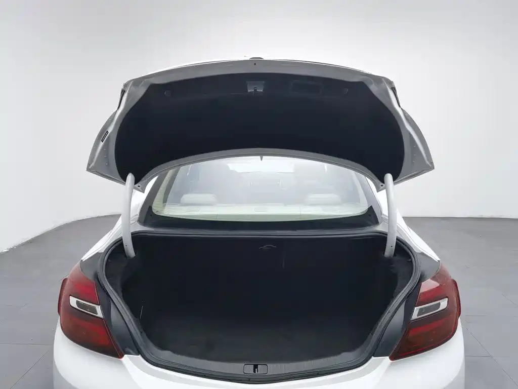 Buick Regal — миниатюра 16