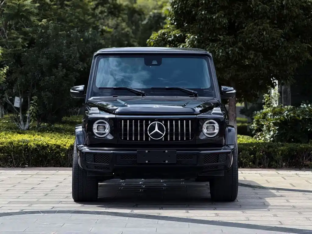 Mercedes-Benz G-Class G 500, фото 2
