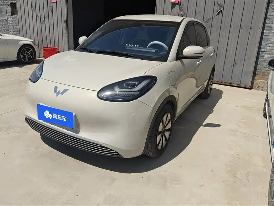 Wuling Bingo 2024