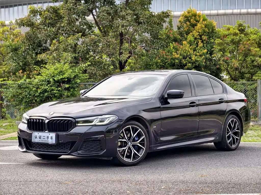 BMW 5 Series (Import) 2020