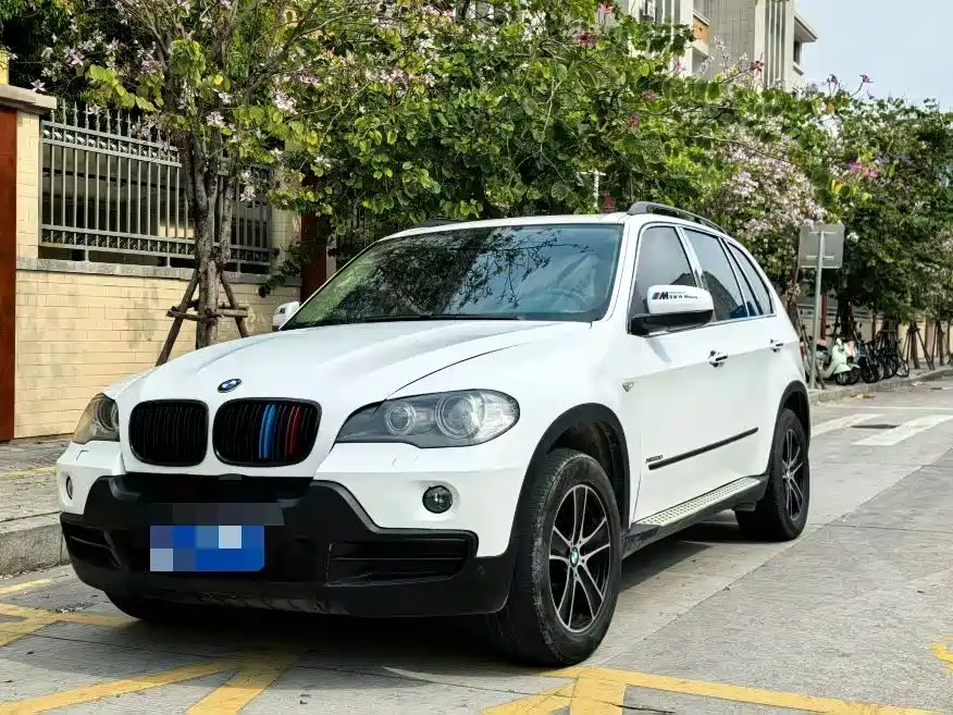 BMW X5 (Import) 2009