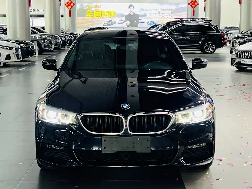 BMW 5 Series — миниатюра 2