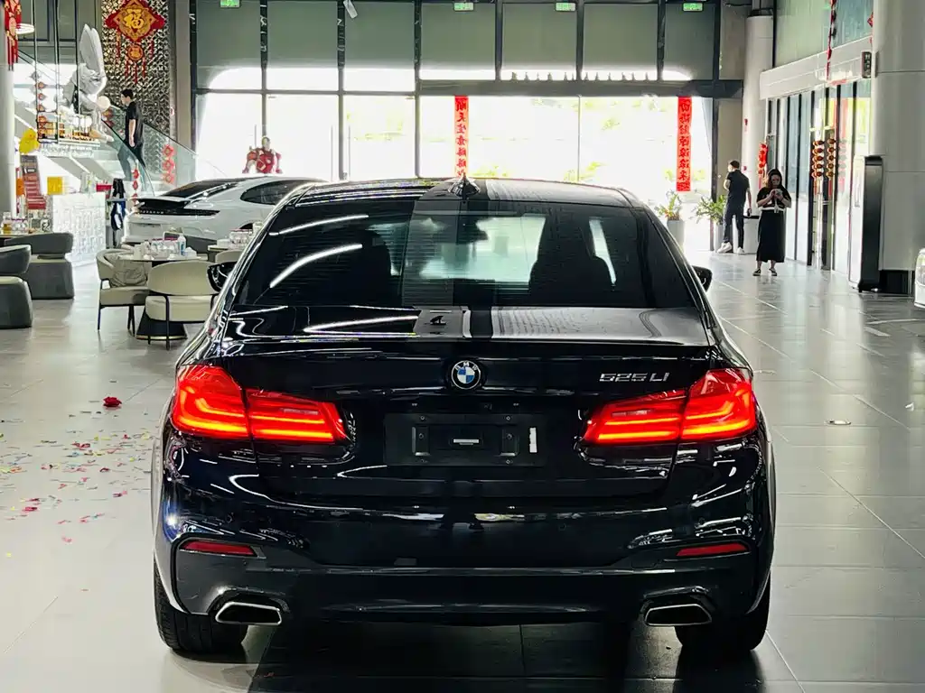 BMW 5 Series — миниатюра 8