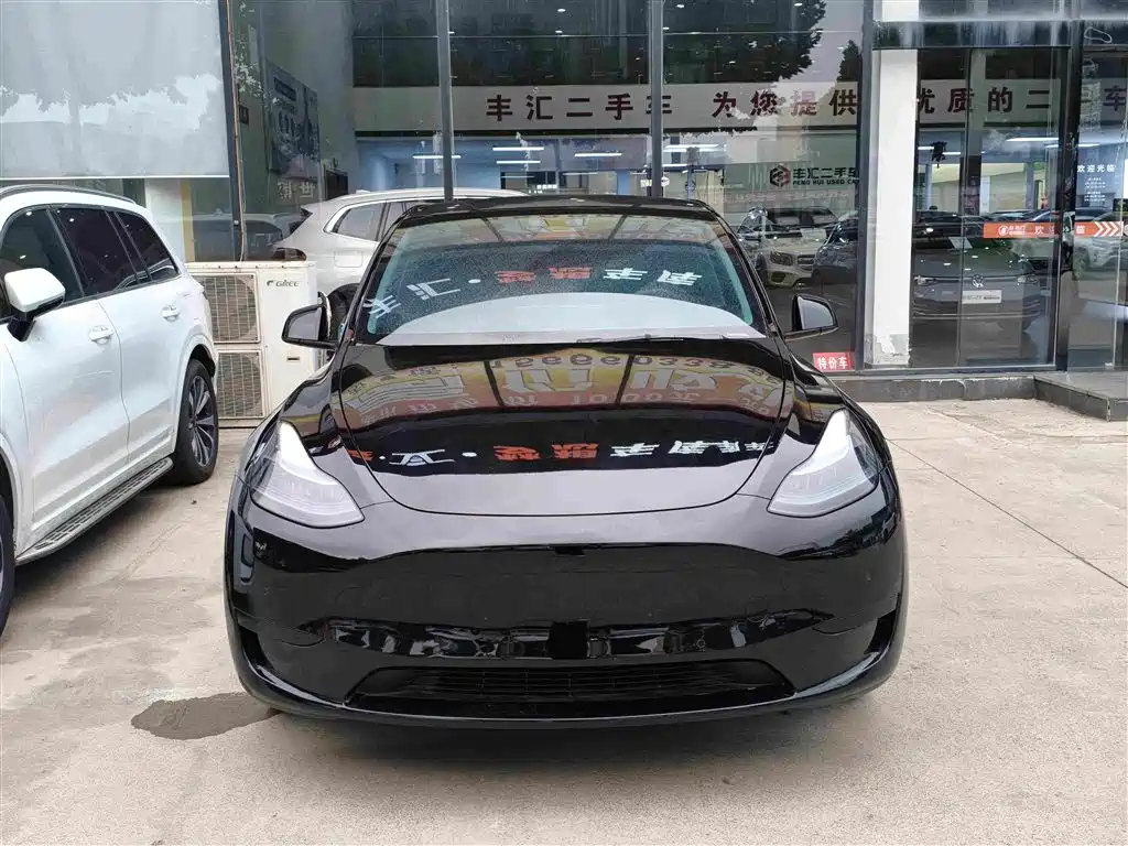 Tesla Model Y — миниатюра 2