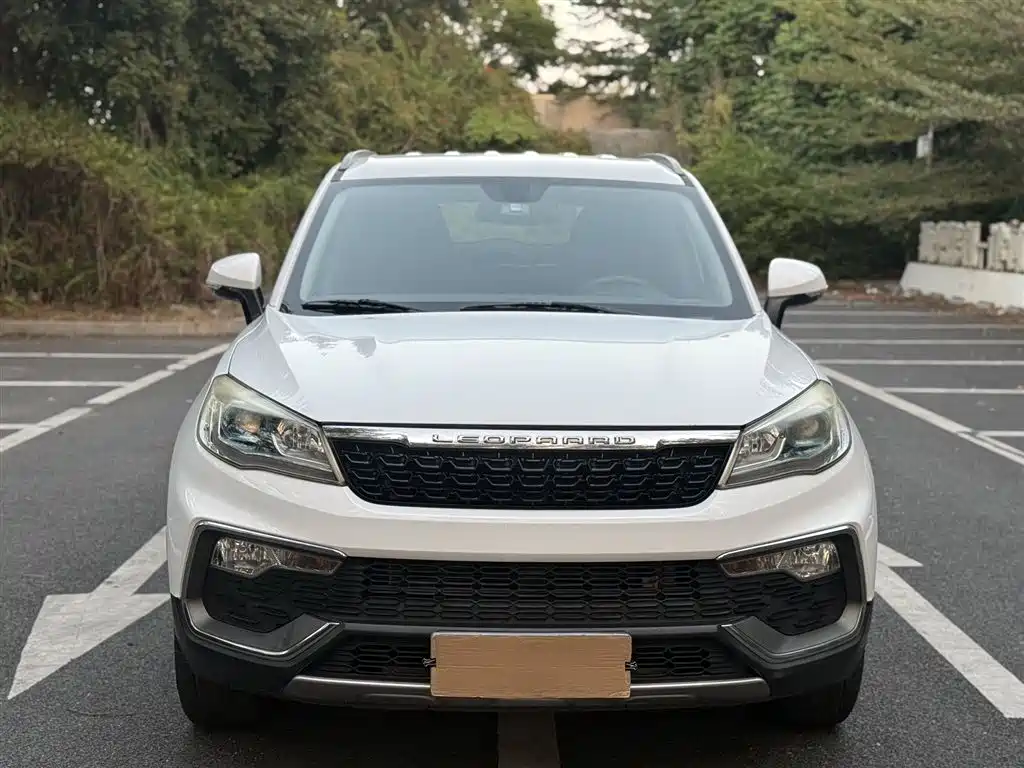 CHEETAH CARS CHEETAH CS9