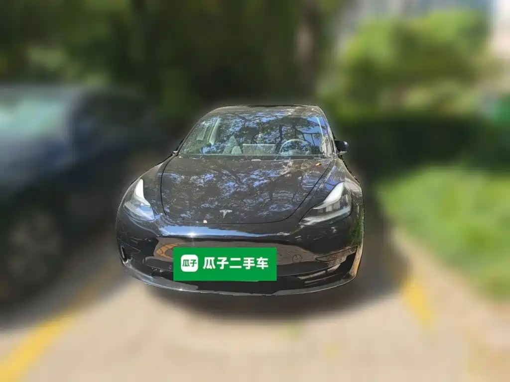 Tesla Model 3 — миниатюра 3