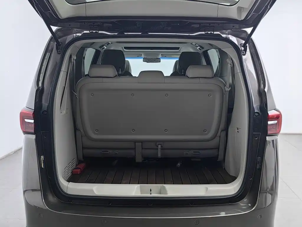 Buick GL8 — миниатюра 16