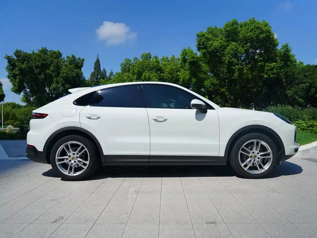 Porsche Cayenne — миниатюра 13