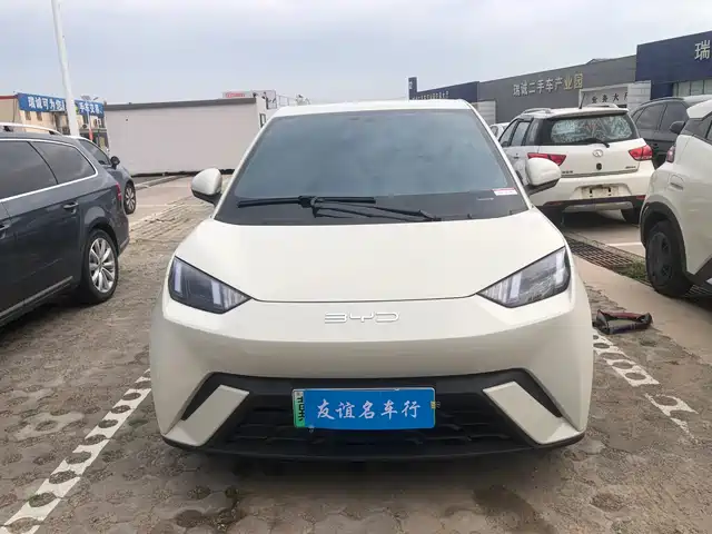 2024 BYD Seagull