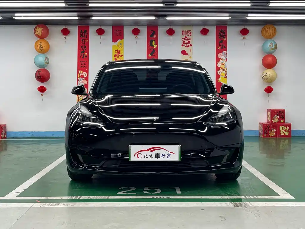Tesla Model 3 2021 3D6
