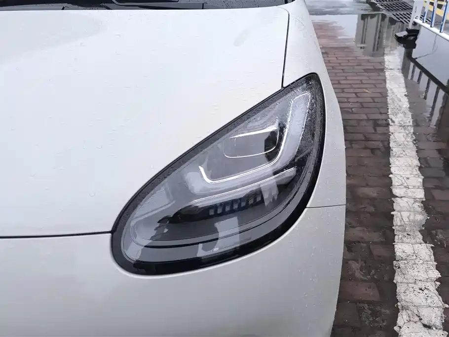 Wuling Binguo 2024 333km Enjoy