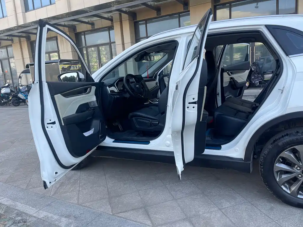 Weltmeister WEIMA EX5