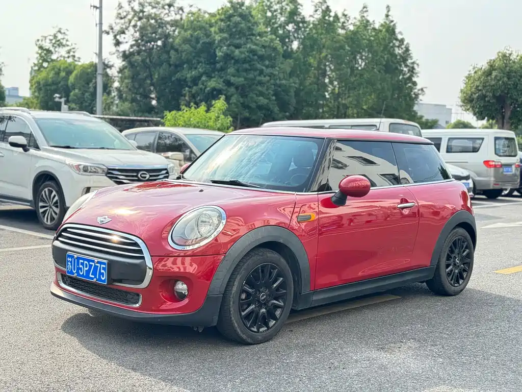Mini Mini 2016