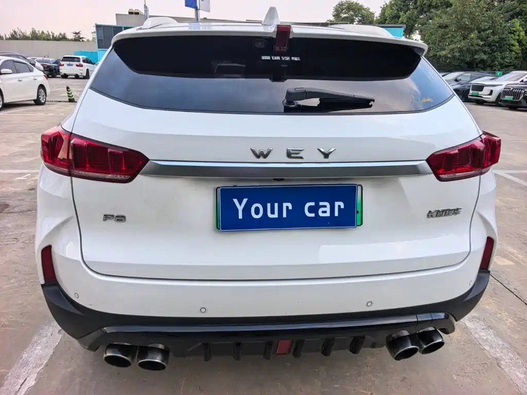 Wey Wey P8 — миниатюра 5