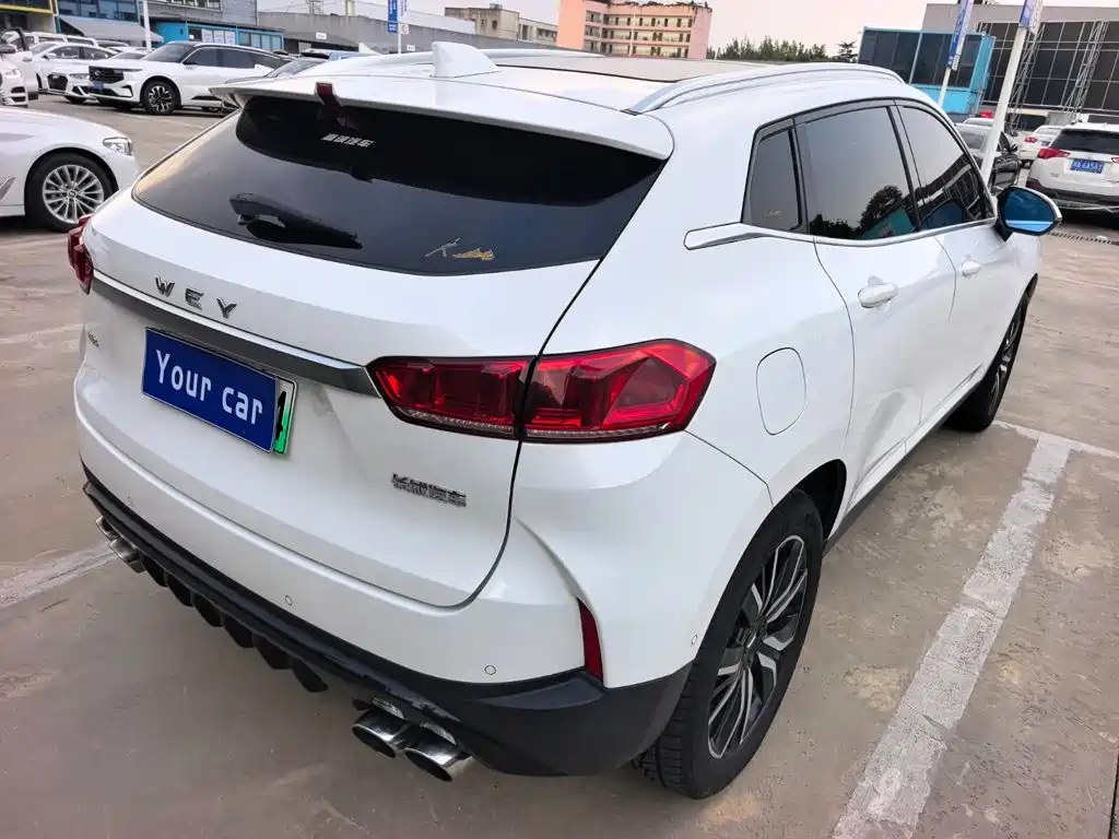 Wey Wey P8 — миниатюра 6