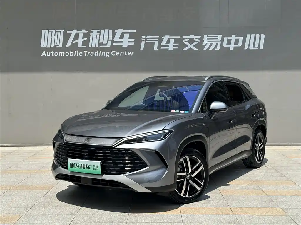 Byd L DM-i 2024