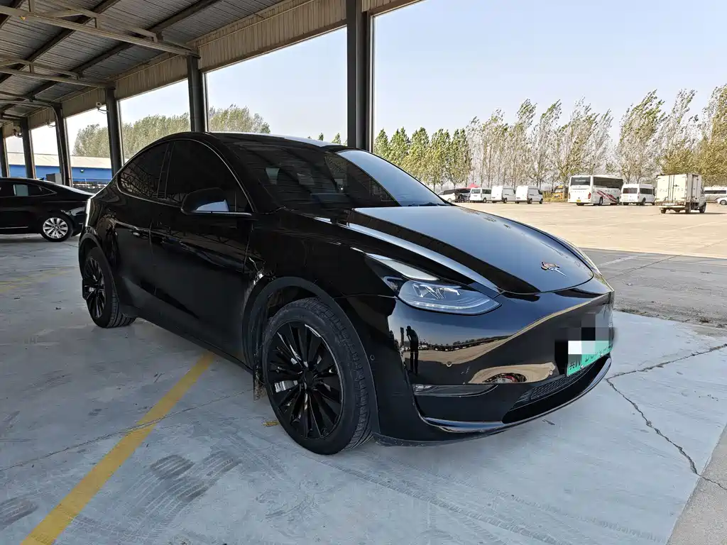 Tesla Model Y — миниатюра 3