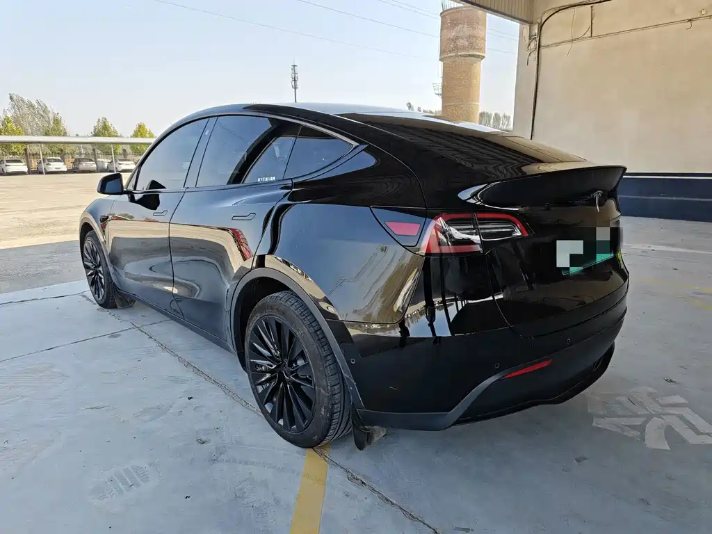 Tesla Model Y — миниатюра 4