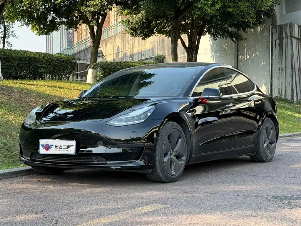 Tesla Model 3 2020